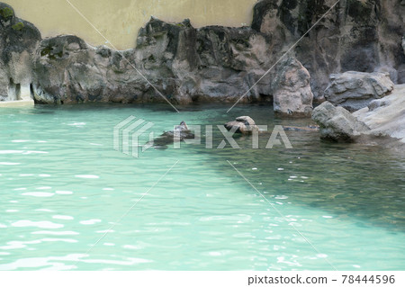 首爾國立大學公園 78444596