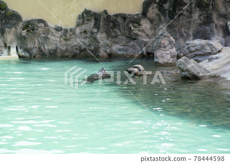 首爾國立大學公園 78444598