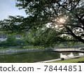 Sunbeams 78444851