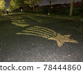 Fallen leaves art 78444860
