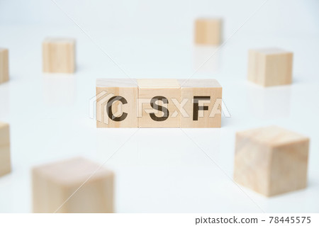 Modern business buzzword - csf - critical success factor. Word on wooden blocks on a white background. 78445575