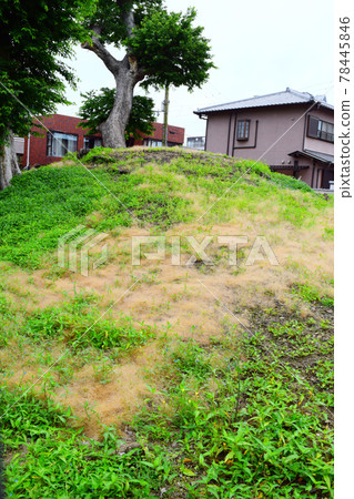 Suzuyama Tomb 78445846