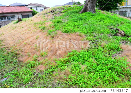 Suzuyama Tomb 78445847