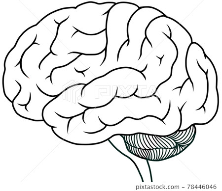 Black-and-white illustration of a professional cerebral aspect 78446046