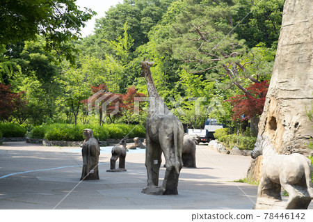 首爾國立大學公園 78446142