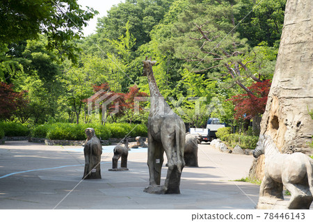 首爾國立大學公園 78446143