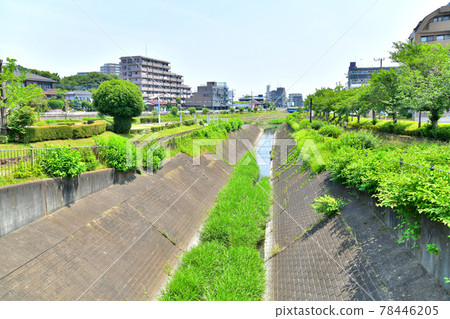 峰谷鳥橋/大田河下游（東京都八王子市）[2021.6] 78446205