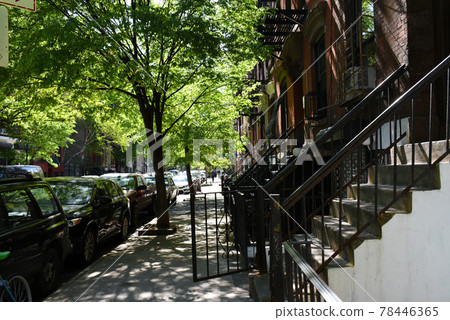 Fresh green brooklyn Fresh green brooklyn 78446365