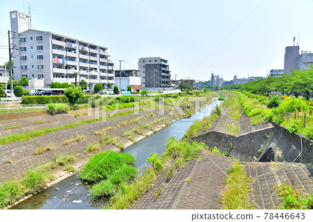 從大栗川大橋/大栗川下游眺望（東京都八王子市）[2021.6] 78446643