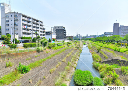 從大栗川大橋/大栗川下游眺望（東京都八王子市）[2021.6] 78446645