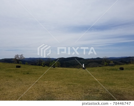 A field A field 78446747