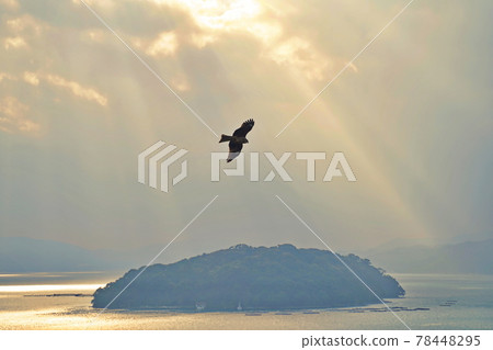 Sea, sky and seagulls 78448295