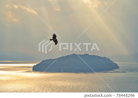 Sea, sky and seagulls Sea, sky and seagulls 78448296