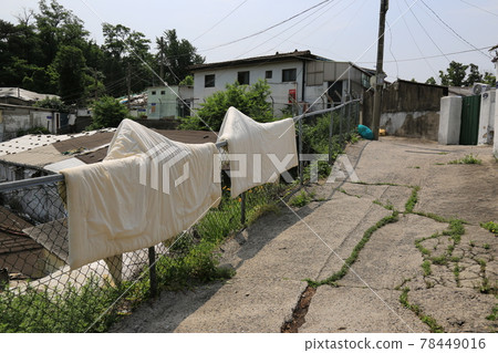 正陵谷,胡同,大門,花,城北區 正陵谷,胡同,大門,花,城北區 78449016