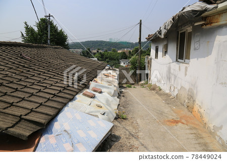 正陵谷,胡同,大門,花,城北區 正陵谷,胡同,大門,花,城北區 78449024