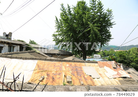 正陵谷，胡同，大門，花，城北區 78449029