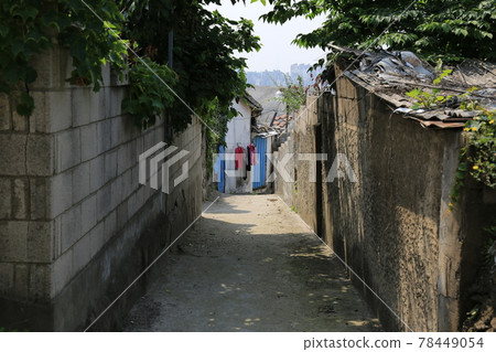 正陵谷,胡同,大門,花,城北區 正陵谷,胡同,大門,花,城北區 78449054
