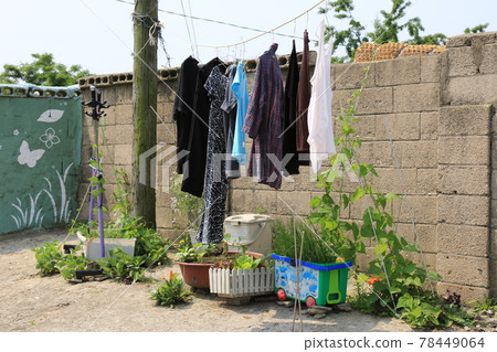 Jeongneunggol. Alley. Gate. Flowerpot. Seongbuk-gu Jeongneunggol. Alley. Gate. Flowerpot. Seongbuk-gu 78449064