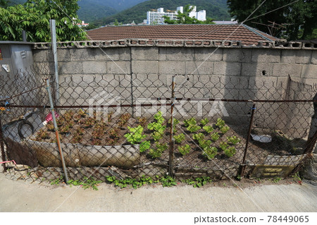 Jeongneunggol. Alley. Gate. Flowerpot. Seongbuk-gu Jeongneunggol. Alley. Gate. Flowerpot. Seongbuk-gu 78449065