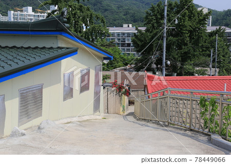 正陵谷,胡同,大門,花,城北區 正陵谷,胡同,大門,花,城北區 78449066