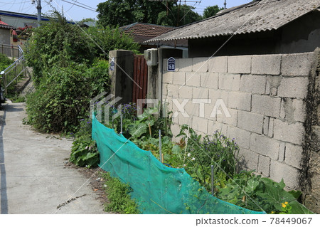 Jeongneunggol. Alley. Gate. Flowerpot. Seongbuk-gu Jeongneunggol. Alley. Gate. Flowerpot. Seongbuk-gu 78449067