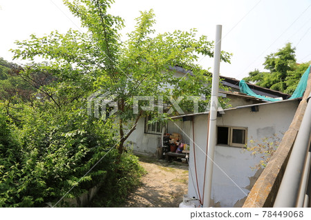 正陵谷,胡同,大門,花,城北區 正陵谷,胡同,大門,花,城北區 78449068