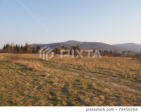 Scenic meadow in Bielsko-Biala city in Poland 78450268
