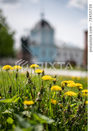 Womens Monastery and monument on Cathedral Square Kolomna 78450739