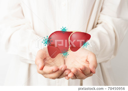 World hepatitis day concept. Human hands holding liver with viral infection symbol. Awareness of prevention and treatment viral hepatitis that causes liver cancer. Health care and medical. World hepatitis day concept. Human hands holding liver with viral infection symbol. Awareness of prevention and treatment viral hepatitis that causes liver cancer. Health care and medical. 78450956