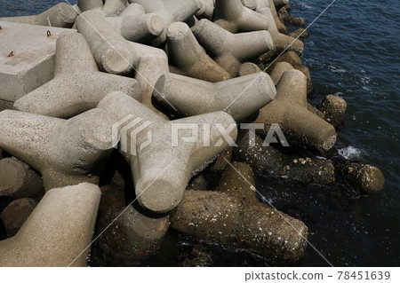 ■ A large amount of tetrapods 78451639