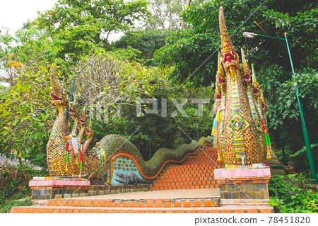 The long Naga stairs at Wat Phra That Doi Suthep in Chiang Mai, Thailand. The long Naga stairs at Wat Phra That Doi Suthep in Chiang Mai, Thailand. 78451820