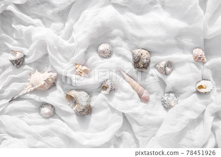 Colorful seashells on light white fabric. Travel, vacation summertime concept. Minimal summer sea background. 78451926