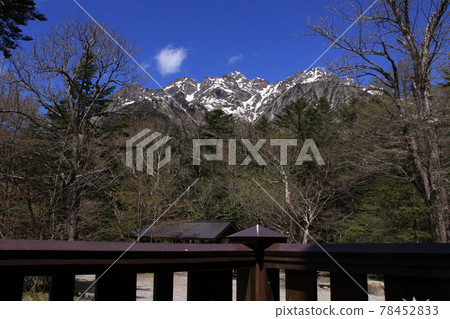 從上高地（穗高山、穗高山）看北阿爾卑斯 地點：德澤（長野縣上高地） 78452833