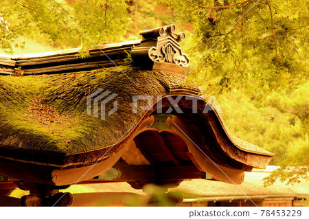 Old-fashioned roof of Sankeien Old-fashioned roof of Sankeien 78453229
