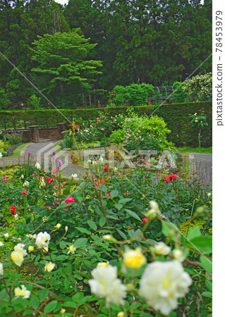 錦戶公園 錦戶公園 78453979