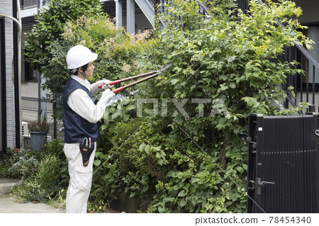 園林工人切割花園的樹 園林工人切割花園的樹 78454340