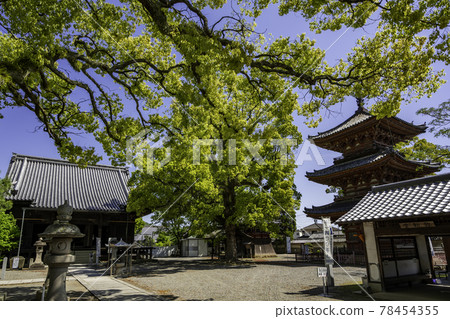 兵庫縣伊寶郡太志町 Ikarugadera 轄區 兵庫縣伊寶郡太志町 Ikarugadera 轄區 78454355