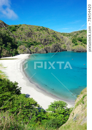 Chichijima Kominato海灘（小gas原群島） 78454420