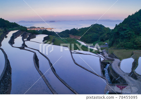 倒影谷水梯田 78455095