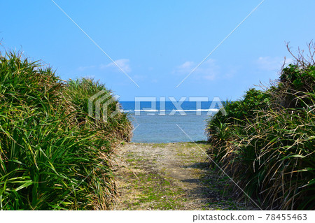 Hatojima Hatojima 78455463