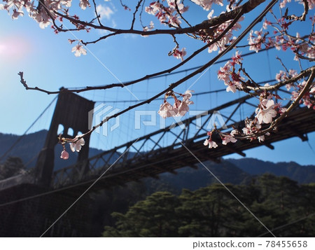Momosuke橋 Momosuke橋 78455658