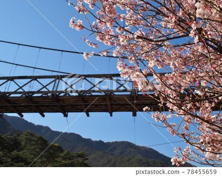 Momosuke橋 Momosuke橋 78455659