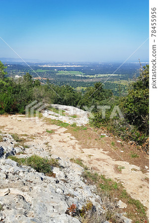 Panoram view of Apulia near Ostuni, Italy Panoram view of Apulia near Ostuni, Italy 78455956