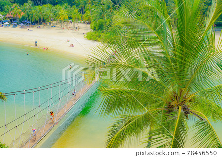 新加坡聖淘沙島上的吊橋 78456550