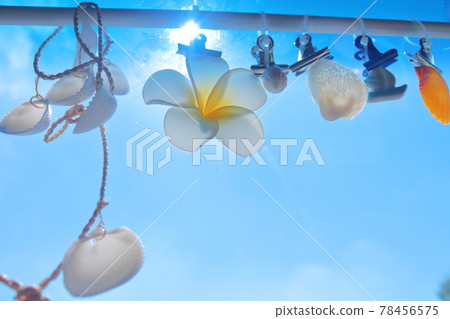 夏天的大海和天空的形象 夏天的大海和天空的形象 78456575