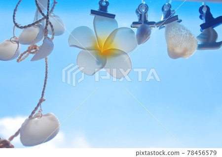 夏天的大海和天空的形象 夏天的大海和天空的形象 78456579
