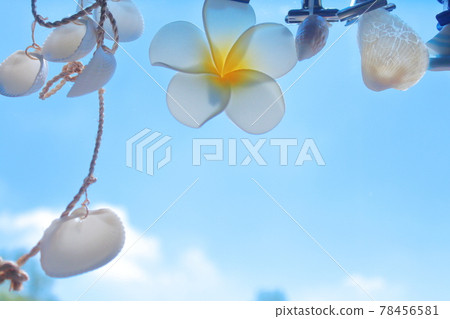 夏天的大海和天空的形象 夏天的大海和天空的形象 78456581