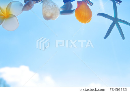 夏天的大海和天空的形象 夏天的大海和天空的形象 78456583
