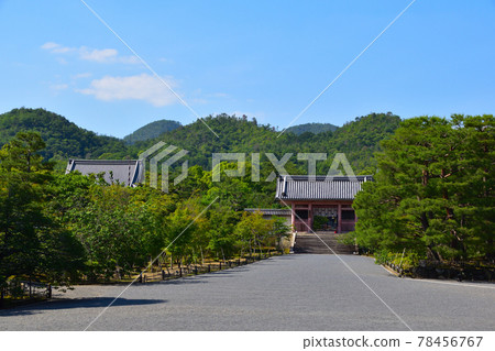 仁和寺 仁和寺 78456767