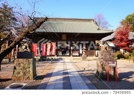 Menuma Seitenzan Niomon National Registered Tangible Cultural Property Waniguchi Nio Statue Kongorikishi Statue A-un 78456993